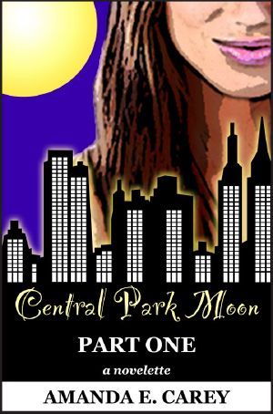 [Central Park Affair 01] • Central Park Moon